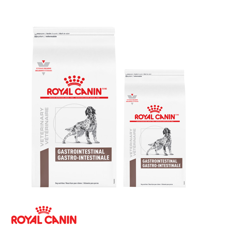 Royal canin veterinary 2024 diet gastro intestinal canine